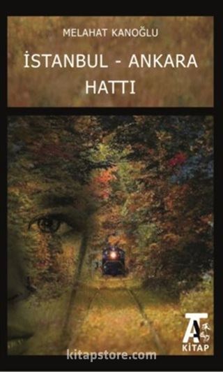 İstanbul - Ankara Hattı