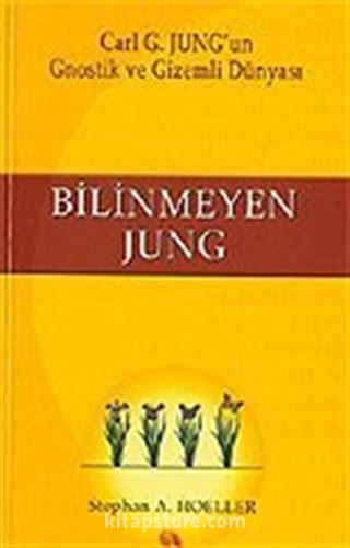 Bilinmeyen Jung