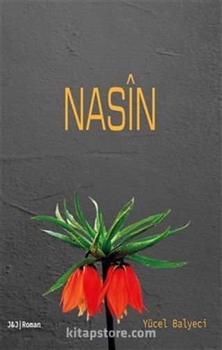 Nasin