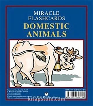 Miracle Flashcards - Domestic Animals