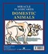 Miracle Flashcards - Domestic Animals