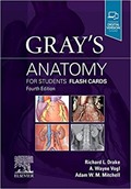 Gray's Anatomy for Students Flash Cards 4th Edition
