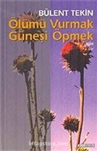 Ölümü Vurmak Güneşi Öpmek