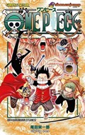 One Piece 43.Cilt