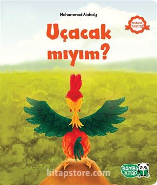 Uçacak mıyım?