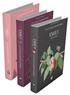 Rüzgarın Kızı Emily Serisi (3 Kitap)