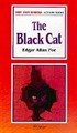 The Black Cat