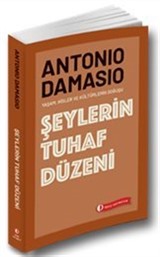 Şeylerin Tuhaf Düzeni