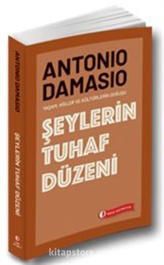 Şeylerin Tuhaf Düzeni