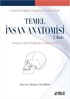 Çekirdek Eğitiş Programı Çerçevesinde Temel İnsan Anatomisi 2. Baskı Anatomi Atlası Eşliğinde Çalışma Notu