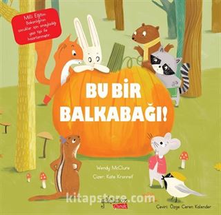 Bu Bir Balkabağı !