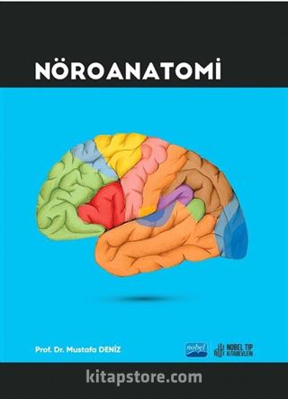 Nöroanatomi