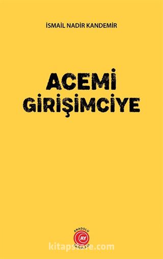 Acemi Girişimciye