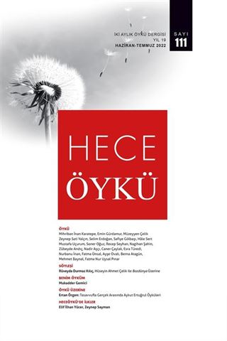 Hece Öykü İki Aylık Öykü Dergisi Sayı:111 Haziran-Temmuz 2022
