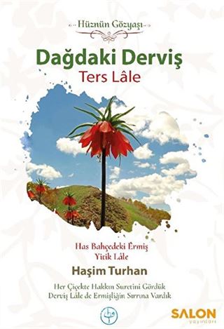 Dağdaki Derviş Ters Lale