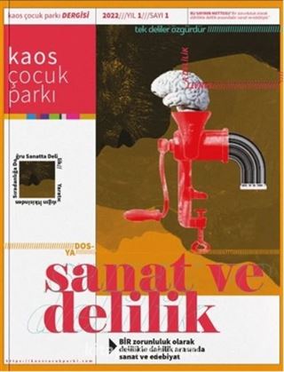 Kaos Çocuk Parkı Sanat Ve Delilik