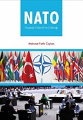 Nato Geçmişi, Günceli ve Geleceği