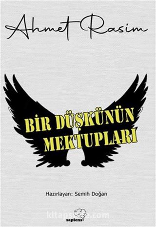 Bir Düşkünün Mektupları