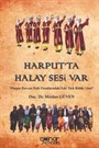 Harput'ta Halay Sesi Var