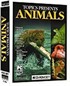 Topics Present: Animals / Dünyada Hayvanlar Hakkında Eğitici Bilgiler Kod:CS-402s