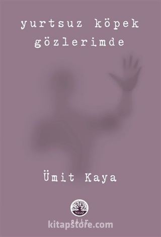 Yurtsuz Köpek Gözlerimde