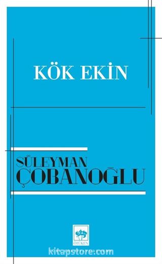 Kök Ekin