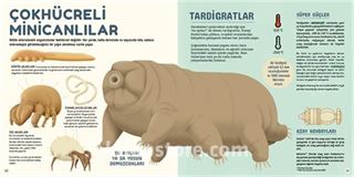 İlk Mikrop Kitabım