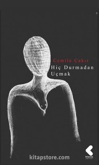 Hiç Durmadan Uçmak