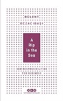 A Rip In The Sea - New Responsibilities For Business (Karton Kapak)