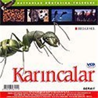 Karıncalar (VCD)