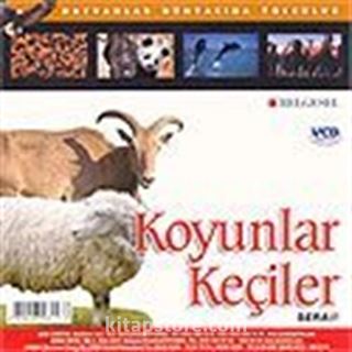 Koyunlar Keçiler (VCD)