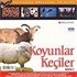 Koyunlar Keçiler (VCD)