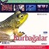 Kurbağalar (VCD)