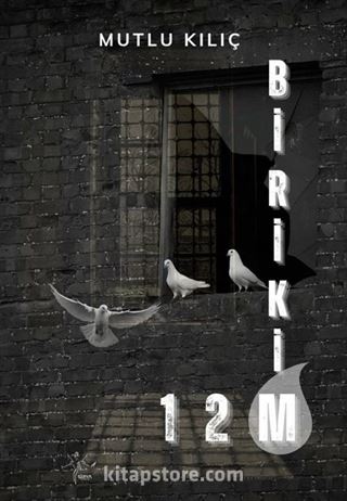Birikim
