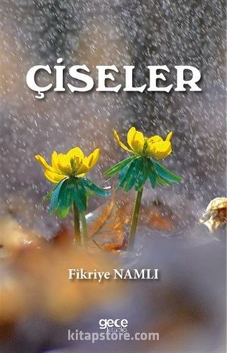 Çiseler