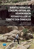 Kırıntılı Kayaçlar, Çökelme Ortamları, Hidrokarbon Potansiyelleri ve Türkiye'den Örnekler
