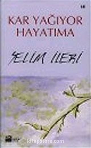 Kar Yağıyor Hayatıma
