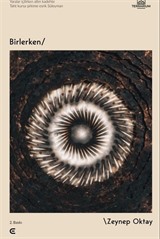 Birlerken