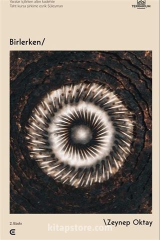 Birlerken