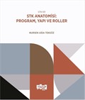 STK Anatomisi: Program, Yapı ve Roller