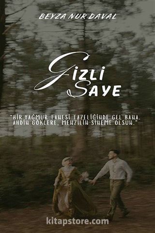 Gizli Saye