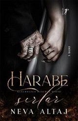 Harabe Sırlar / Kusursuzca Kusurlu Serisi