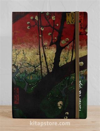 Van Gogh-Erik Bahçesi (STK 36)