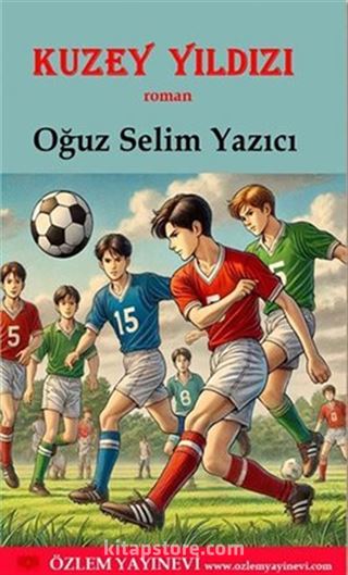 Kuzey Yıldızı