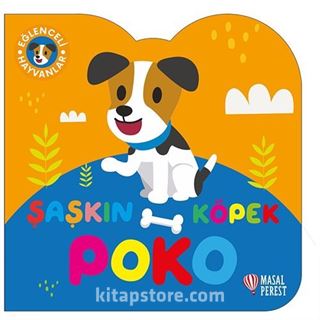 Şaşkın Köpek Poko