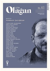 Olağan Şiir Dergisi Sayı: 41 Kasım-Aralık 2024