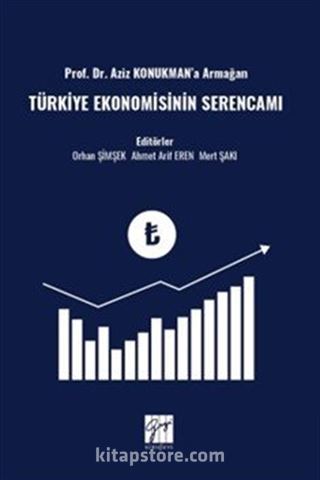 Prof. Dr. Aziz Konukman'a Armağan Türkiye Ekonomisinin Serencamı