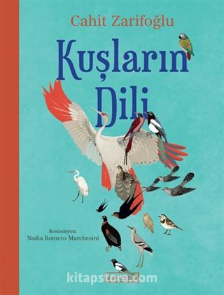 Kuşların Dili