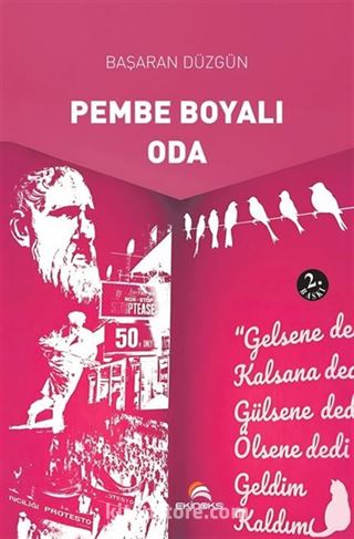 Pembe Boyalı Oda