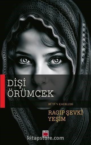Dişi Örümcek